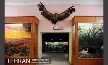 موزه حیات وحش هفت چنار 30