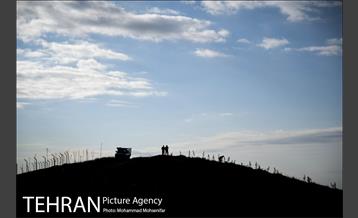 بازدید از پروژه جنگل کاری 1250 هکتاری 22