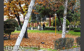 پاییز در بوستان رازی 15