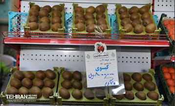 تره‌بار یلدایی 14