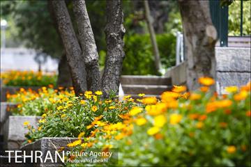 بوستان نیاوران 7