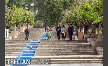 بوستان نیاوران 9