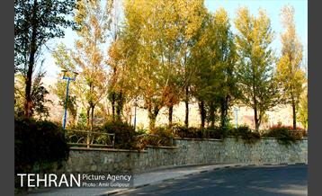 شهرک مسکونی شهید باقری 23