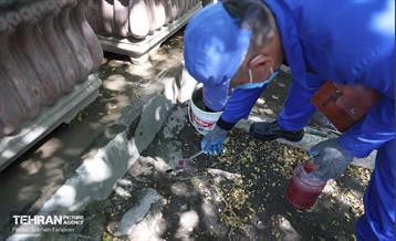 مبارزه با جانوران موذی 17