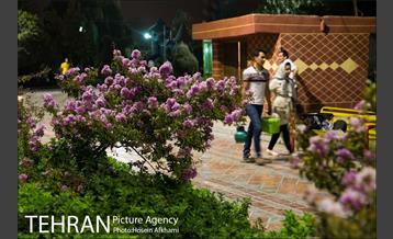 حضور شبانه مردم در بوستان بهمن‎ 16