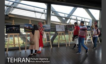 نمایشگاه “طبیعت تهران” بر روی پل طبیعت 12