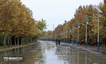 یک روز بارانی در منطقه 19 10