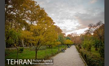 پاییز پارک شهر 27