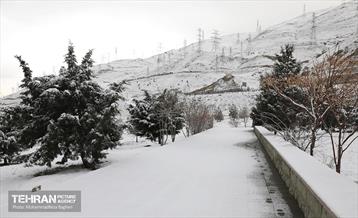 روز برفی در منطقه 22 8