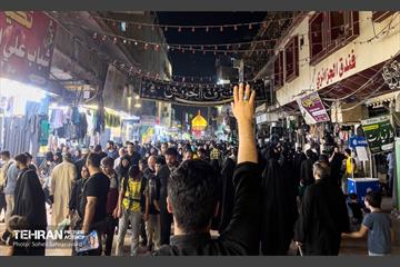 حرم مطهر امام علی (ع) در آستانه اربعین حسینی 24