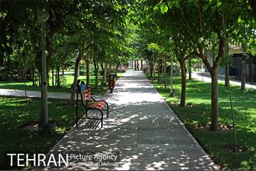 بوستان تمدن (گلبرگ) 10