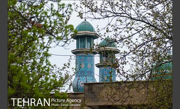 طبیعت بهاری پارک جنگلی لویزان‎  3