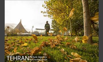 پاییز زیبای پایتخت- 2 15