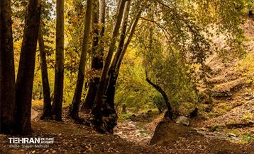 رود دره فرحزاد 40