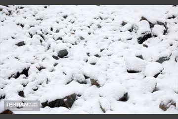 بارش برف زمستانی در تهران 12