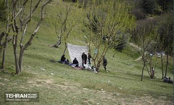 روز طبیعت در اراضى عباس آباد 11