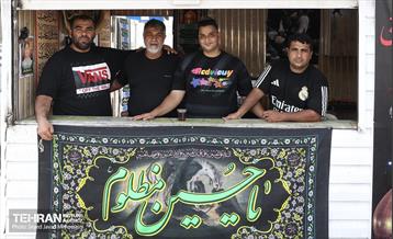 آیین پیاده‌روی جاماندگان اربعین حسینی(1) 15