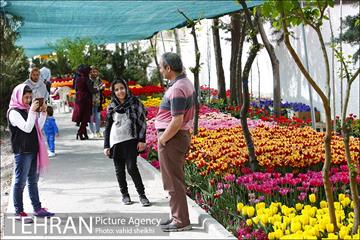 پیاده راه لاله برای مادران 4