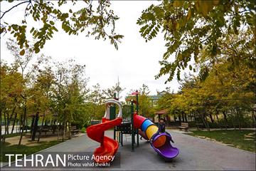 طبیعت پاییزی بوستان فدک 5
