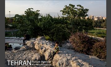 شهرنگار؛ بوستان قائم 25