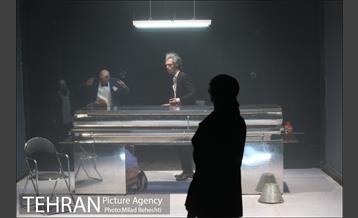 نمایش موی سیاه خرس زخمی 7