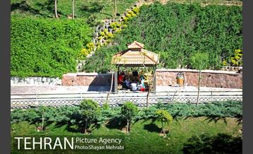 بوستان نهج البلاغه 5