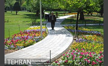 رویش گل های لاله در بوستان لاله 18