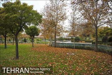 پاییز در بوستان رازی 19