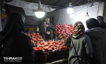 یازدهمین جشنواره صد دانه یاقوت 16