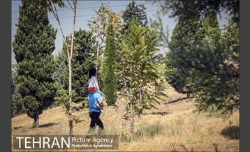 بوستان سرخه حصار 8