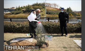 مراسم کاشت درخت صلح و دوستی 28