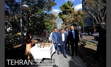 بازدید معاونین شهرداری تهران از نوروزگاه بلوار کشاورز 23
