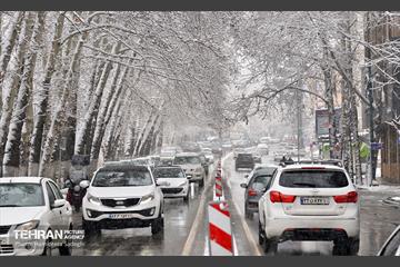 بارش برف زمستانی در منطقه 1 23