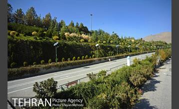 بوستان جوانمردان 5