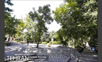 بوستان قیطریه 13