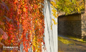 هوای پاییزی پایتخت 44