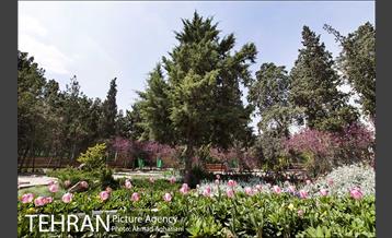 پارک سرخه حصار‎ 6