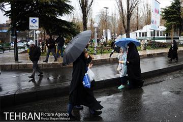 بارش باران در تهران 12