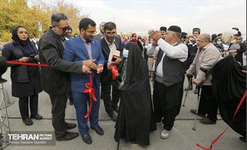 پنجمین جشنواره خرمالوی کن 20