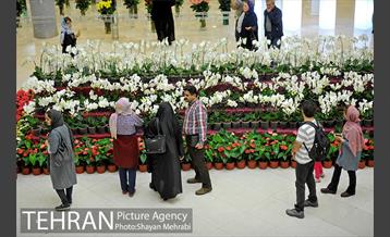 شانزدهمین نمایشگاه بین المللی گل و گیاه تهران - 2 31