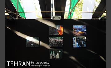 نمایشگاه عطر سیب 4