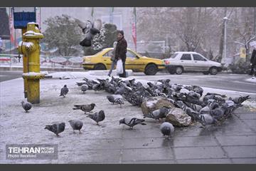 روز برفی تهران - 3 2