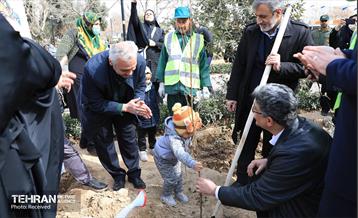 مراسم روز درختکاری در منطقه 12 11