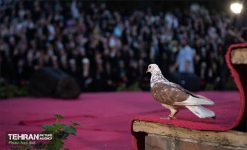 جشن بزرگ روز دختر  19