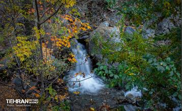 سمفونی رنگ های پاییزی - دربند 7