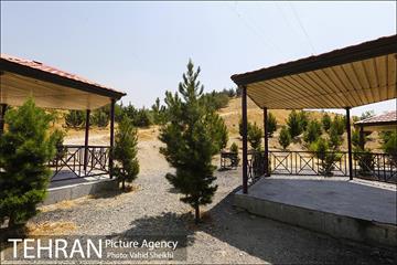 بوستان جنگلی یاس فاطمی 16