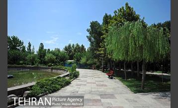 بوستان تمدن (گلبرگ) 17