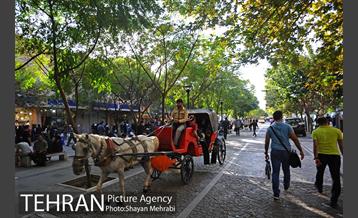 ماشین دودی 8