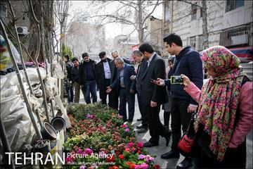 تهران گردی احمد مسجدجامعی 20