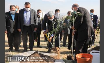 مراسم درختکاری در بوستان پردیسان 12